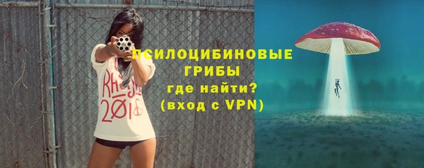 спиды Чекалин